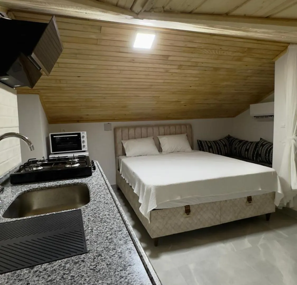 Villa Burcin Apart Дальян 0*,  Турция
